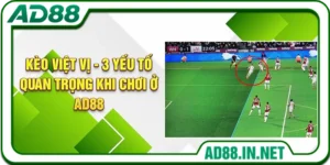 Kèo Việt Vị - 3 Yếu Tố Quan Trọng Khi Chơi Ở AD88