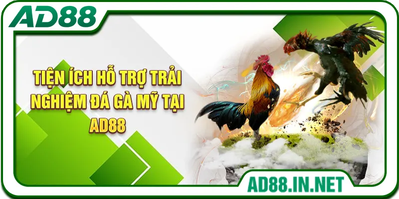 Tiện ích hỗ trợ trải nghiệm đá gà Mỹ tại AD88